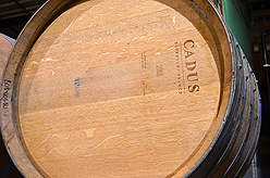 QUANTIVATE HOLIDAY PARTY